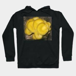 Yellow Oyster Mushroom Cluster Hoodie